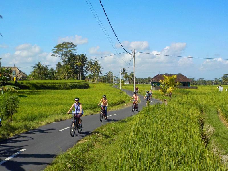 Cycling for Exploring Beautiful Rice Fields