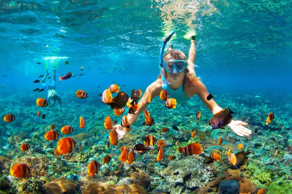 Snorkeling to Enjoy the Beauty of Underwater in Ubud 