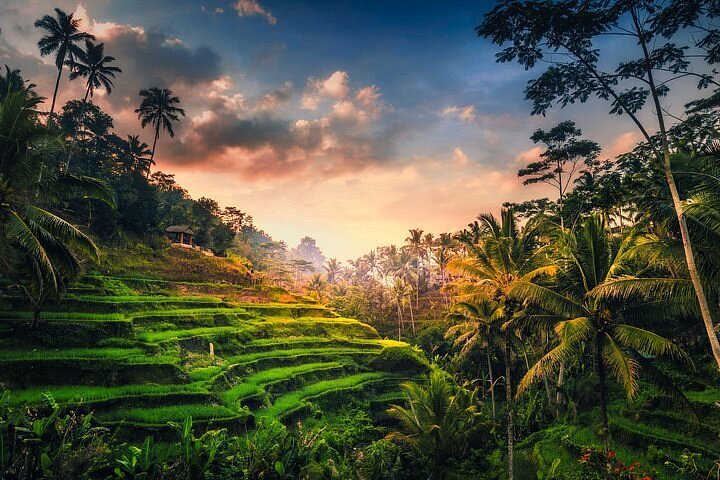 Beautiful Ubud’s Rice Terraces